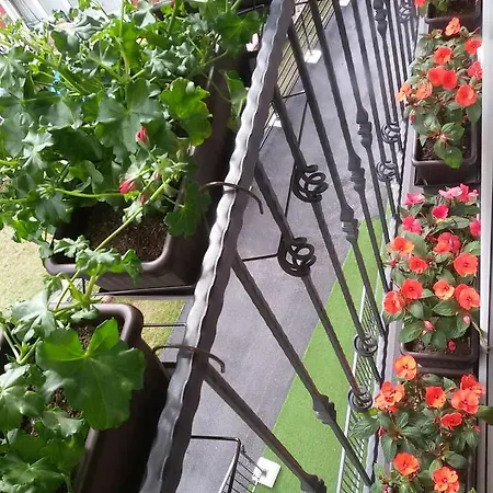 Arija Apartmán Zlatibor